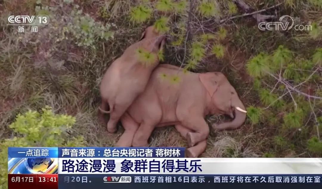 乐鱼网页版登录入口-乐鱼(中国)